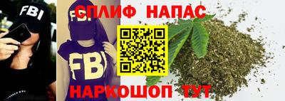 прущие грибы Пугачёв